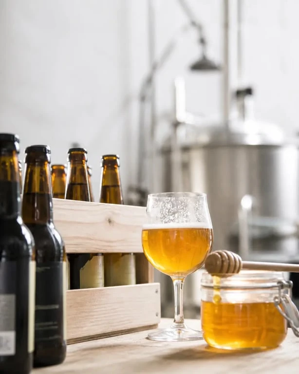 Tribu zytha : gros plan sur les bouteilles réutilisées et la dégustation artisanale
